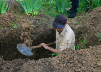 Počet obyvateľov Kyjeva zabitých Rusmi sa zvýšil na 1314