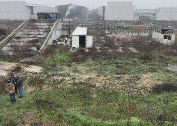 Straty zo zničenia hydinárskej farmy Chornobaivska Rusmi dosiahli 330 miliónov dolárov