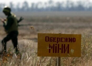 Уряд Австрії після дебатів виділив 2 млн євро на розмінування України