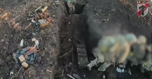 Бійці білоруського батальйону ЗСУ показали, як зачистили траншеї уздовж «дороги життя» в Бахмут