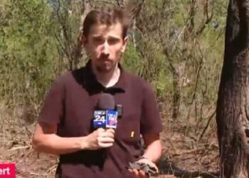 Жителів прикордонних з Україною румунських сіл сповіщатимуть про тривогу