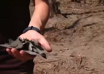 Румунські ЗМІ показали відео з місця, де впав Shahed