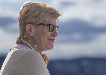 Україна отримає від Литви 340 млн євро допомоги