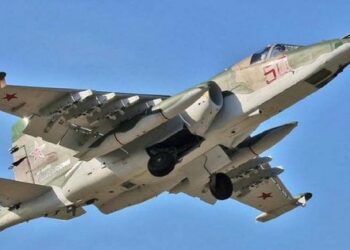 Українські прикордонники біля Авдіївки збили російський Су-25