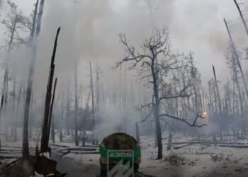 Бійці «Азову» показали зачистку позицій росіян в лісах Кремінної (відео)