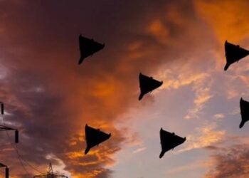 Росіяни вночі атакували Україну 42 дронами-камікадзе