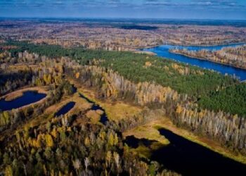 Частину земель Чорнобильського заповідника передадуть прикордонникам