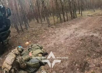 Російські добровольці під час атаки на області Росії знищили понад 600 військовослужбовців