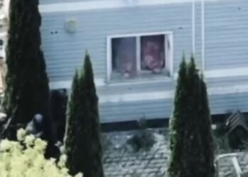 Бійці ССО показали, як взяли в полон окупантів на Харківщині (відео)