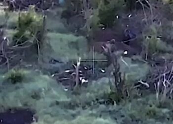 ГУР ідентифікувало росіян, які розстріляли групу українських військовополонених на Запоріжжі