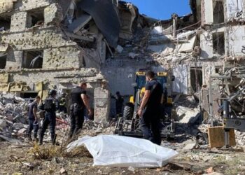 Росіяни обстріляли готель на Донеччині, де перебували харківські зооволонтери