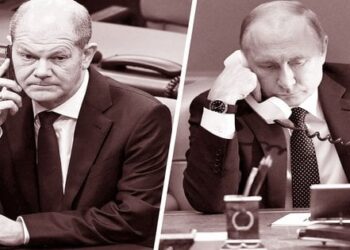 Шольц не читає книжок