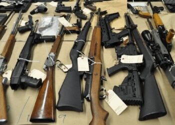 Канада планує передати Україні заборонену в себе вогнепальну зброю